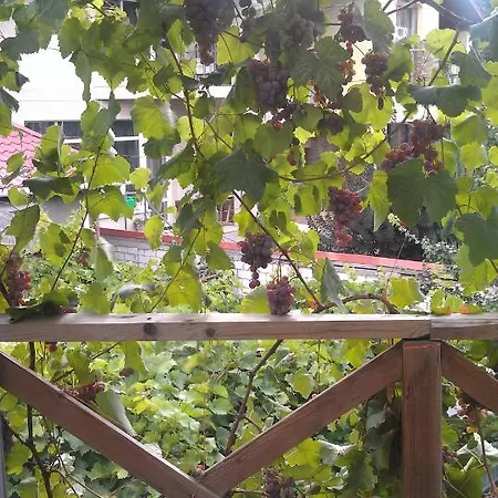 Guest house Dacha V Arkadii *