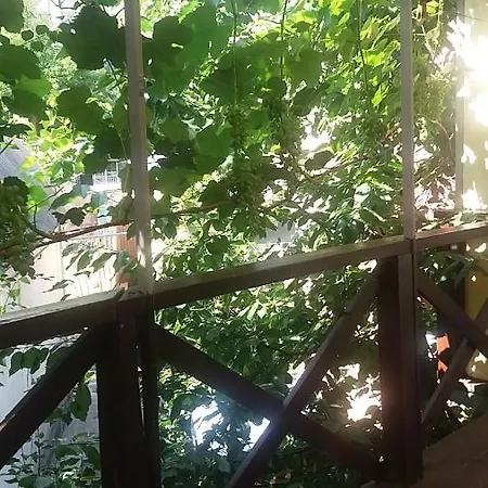 Гостевой дом дача в аркадии