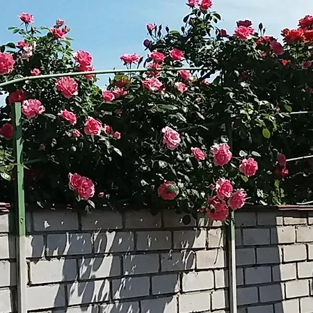 дача в аркадии *