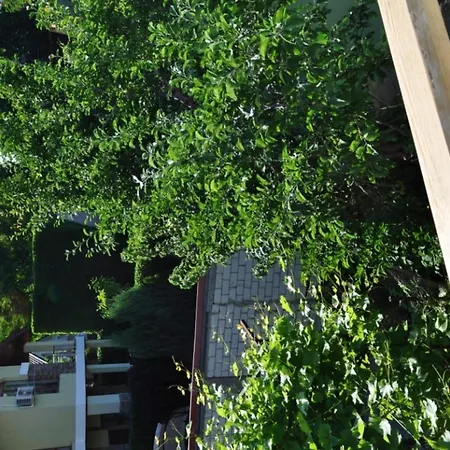 Guest house Dacha V Arkadii *